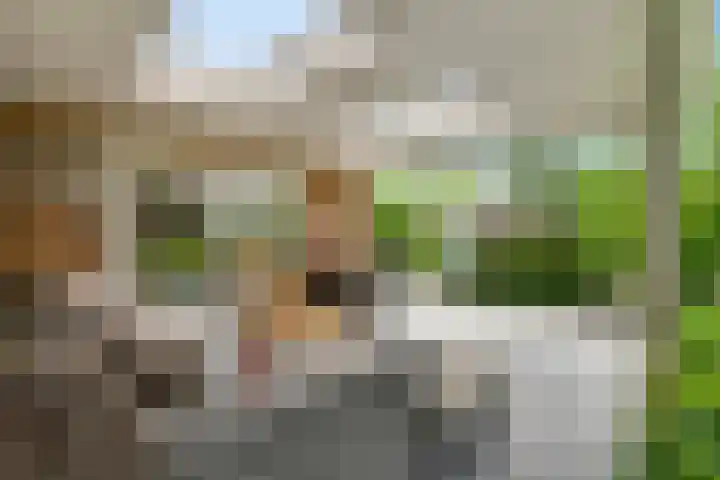 Leumehofstraat 5 Weert thumbnail 32