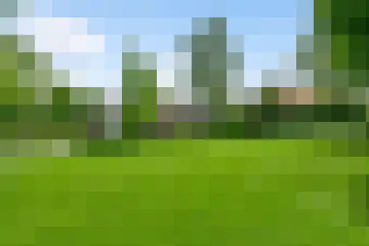 Leumehofstraat 5 Weert thumbnail 47