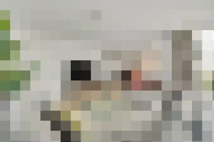Leumehofstraat 5 Weert thumbnail 5