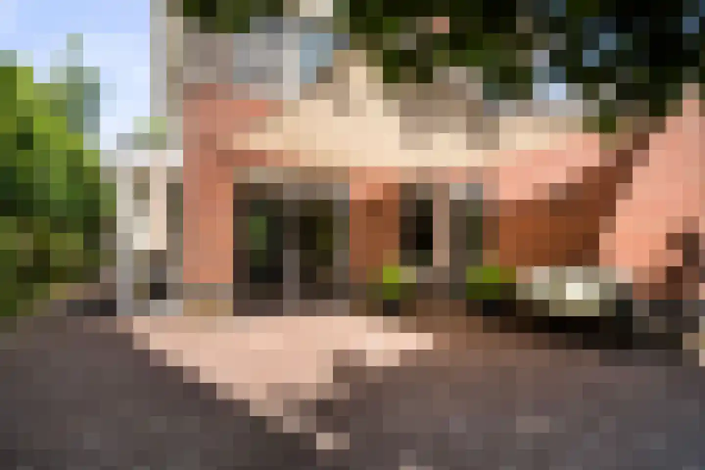 Leumehofstraat 6 Weert thumbnail 41