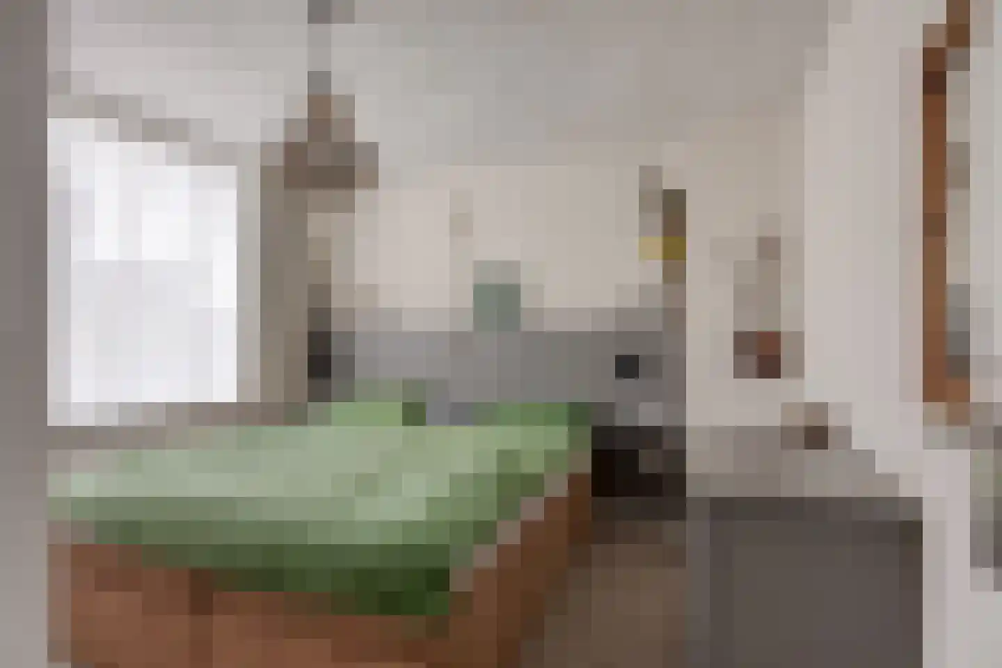 Leunisdijk 32 Esch thumbnail 13