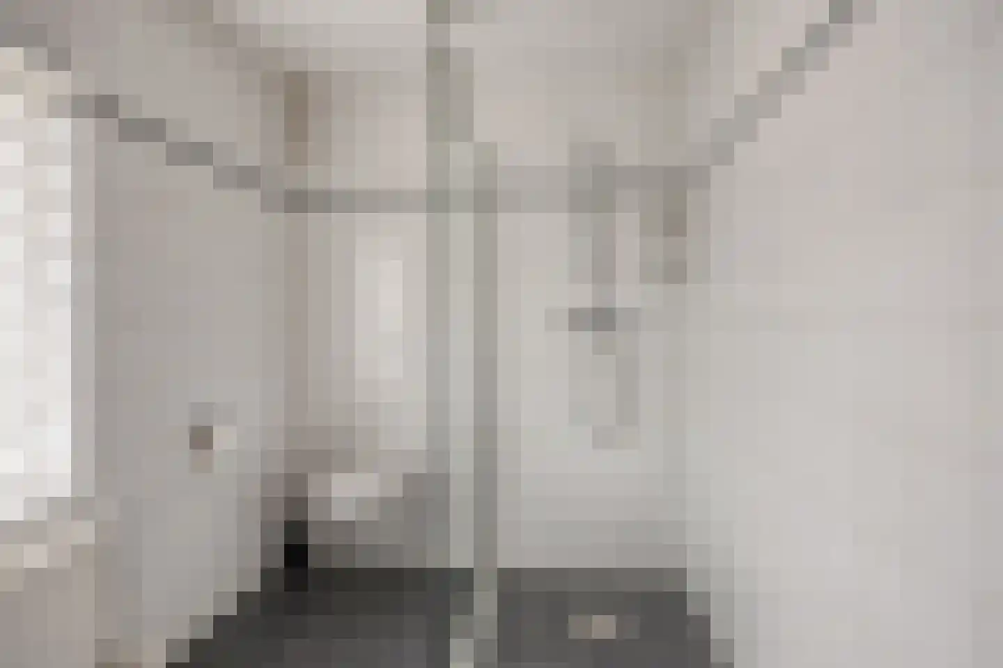 Leunisdijk 32 Esch thumbnail 19