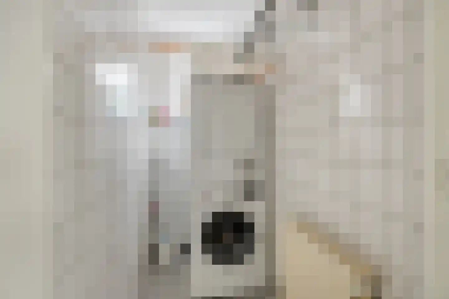 Leunisdijk 32 Esch thumbnail 21