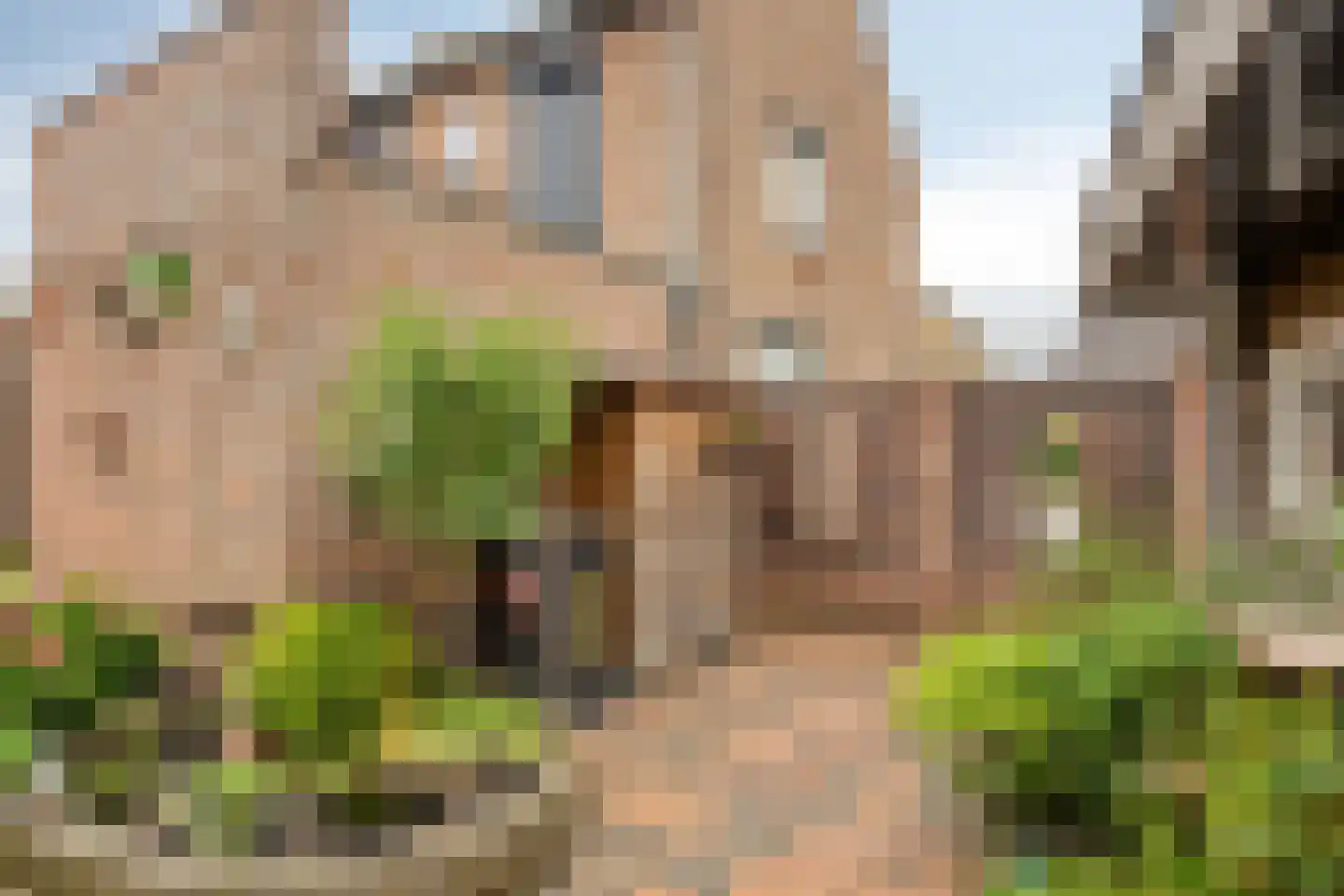 Leunisdijk 32 Esch thumbnail 25
