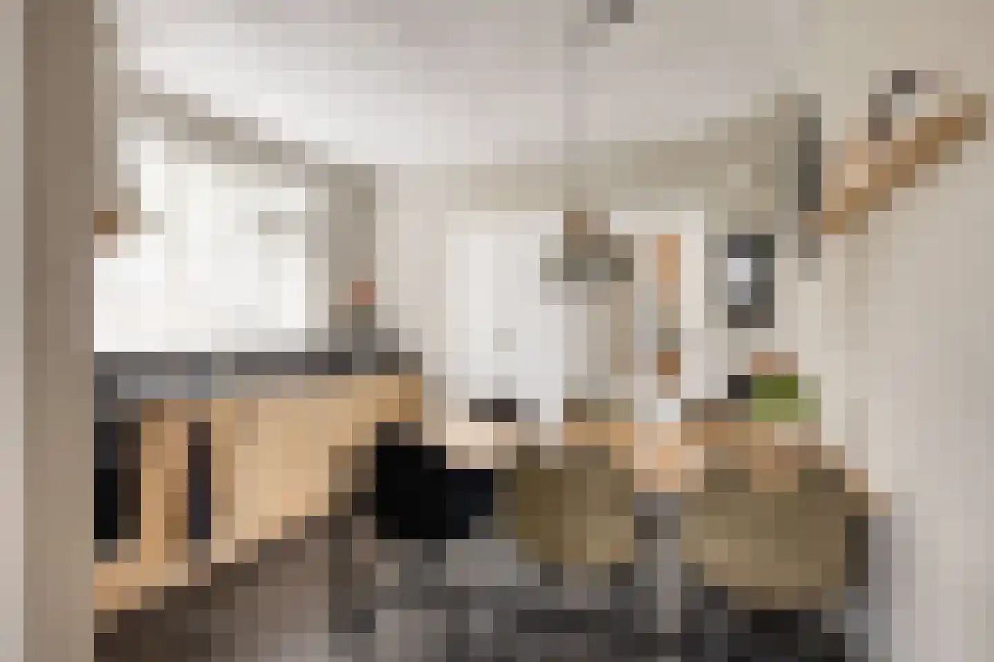 Leunisdijk 32 Esch thumbnail 7