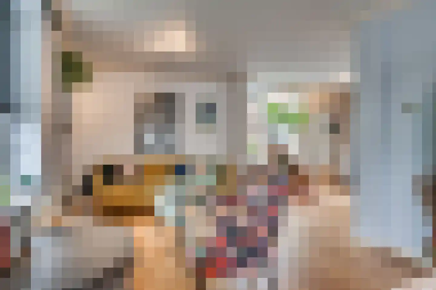 Leunseweg 25 Venray thumbnail 8