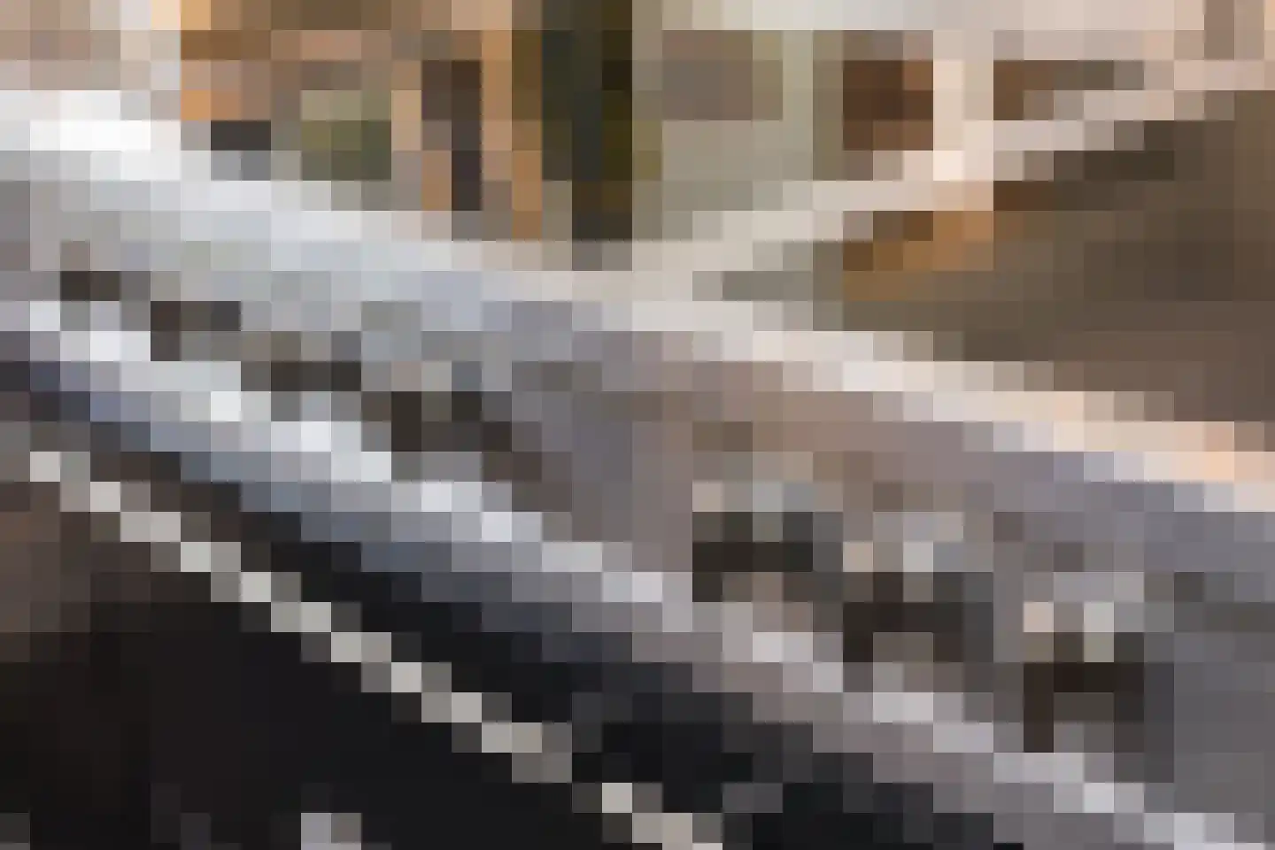 Leurikslaan 14 Enschede thumbnail 12