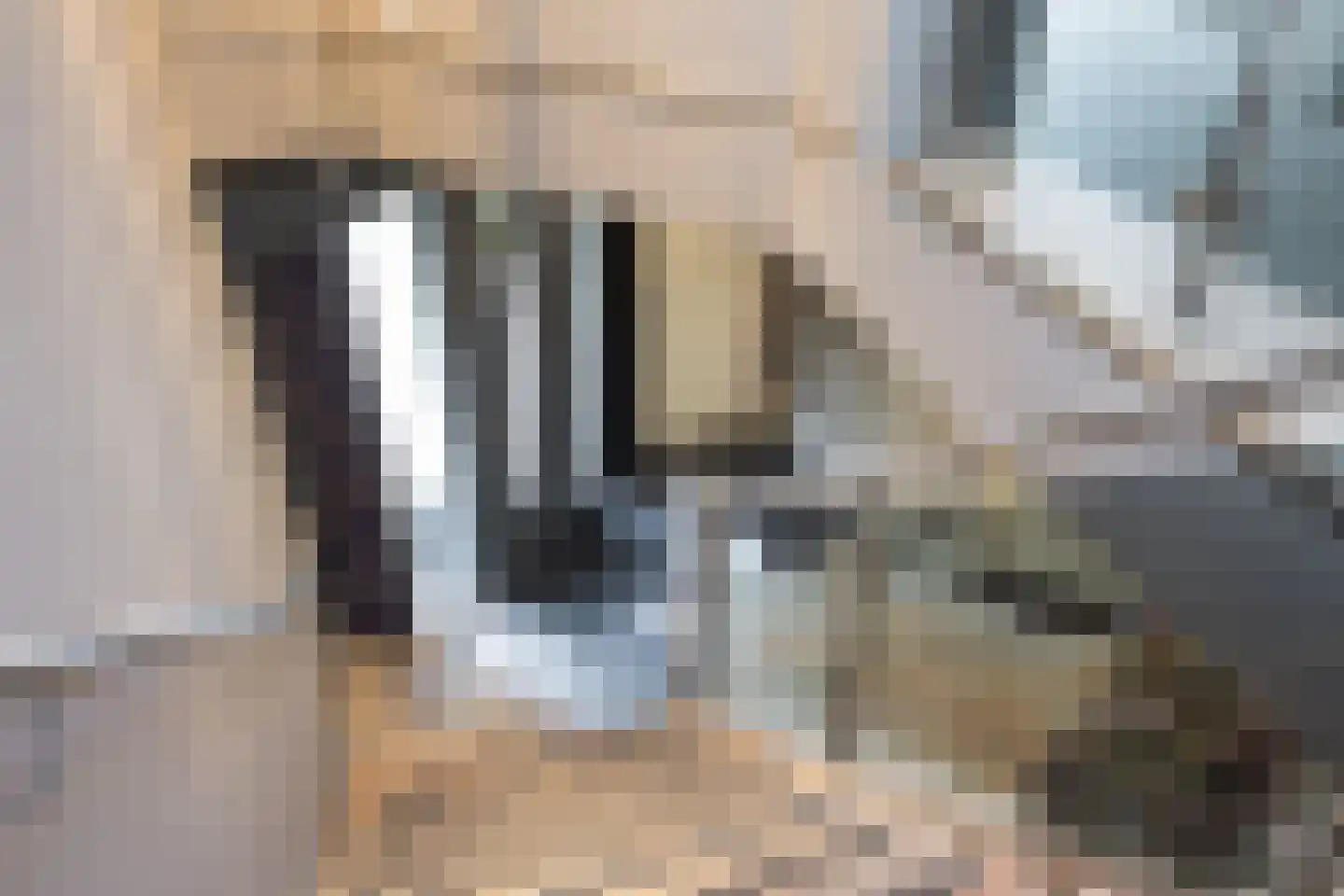 Leurikslaan 14 Enschede thumbnail 17