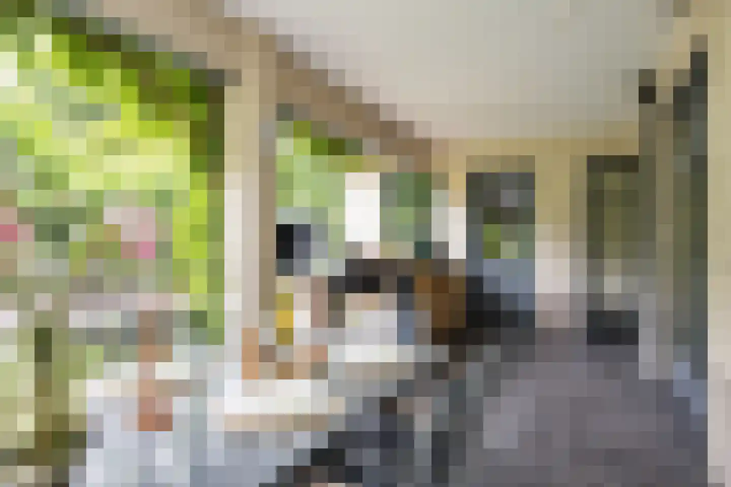 Leurikslaan 14 Enschede thumbnail 32