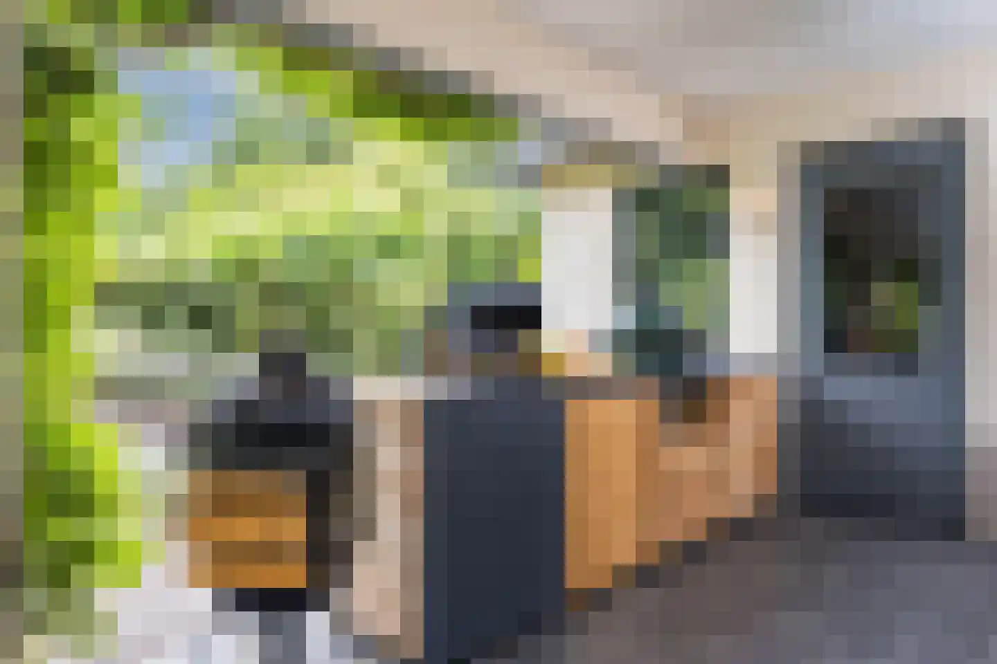 Leurikslaan 14 Enschede thumbnail 33