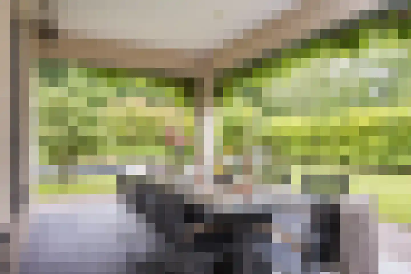 Leurikslaan 14 Enschede thumbnail 37