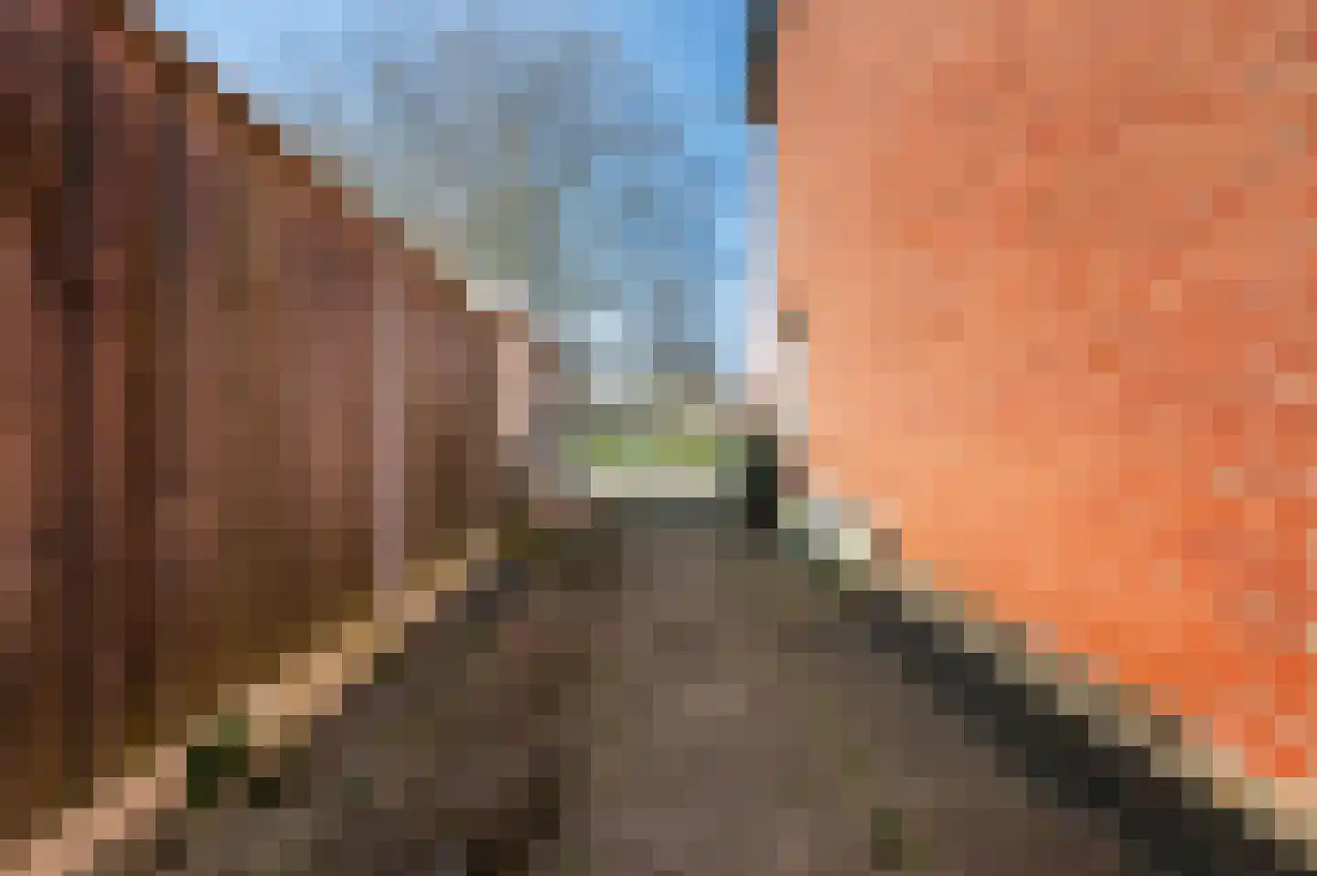 Leurinksplantsoen 18 Hengelo thumbnail 21