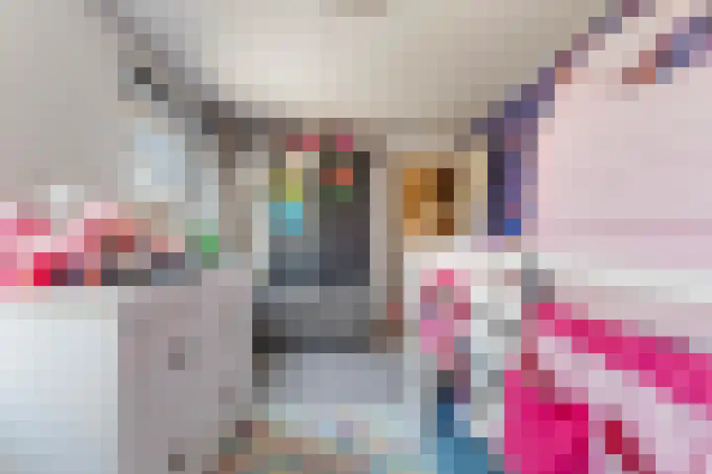 Leurinksplantsoen 18 Hengelo thumbnail 32