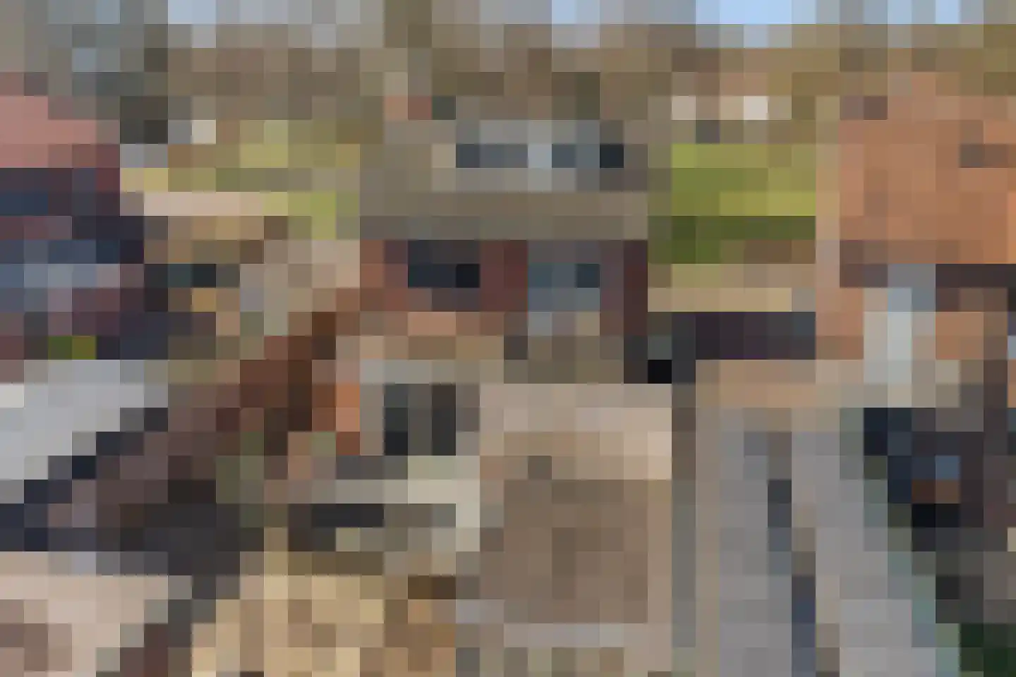 Leurinksplantsoen 18 Hengelo thumbnail 38