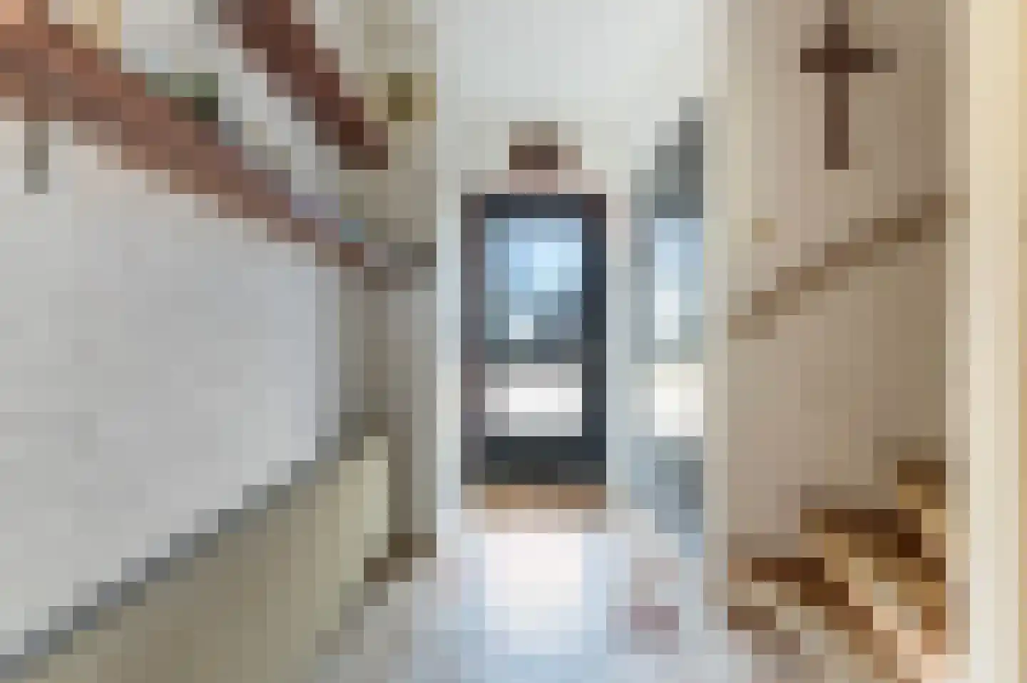Leurinksplantsoen 18 Hengelo thumbnail 8