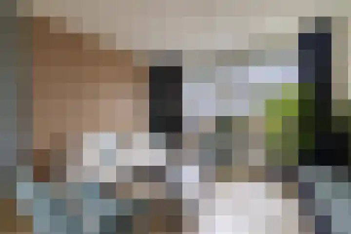 Leurinkstraat 10 Hengelo thumbnail 10