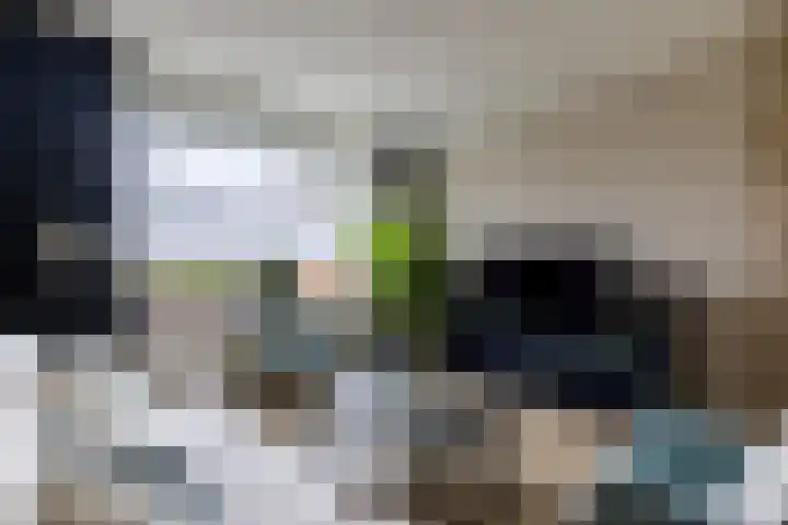 Leurinkstraat 10 Hengelo thumbnail 12