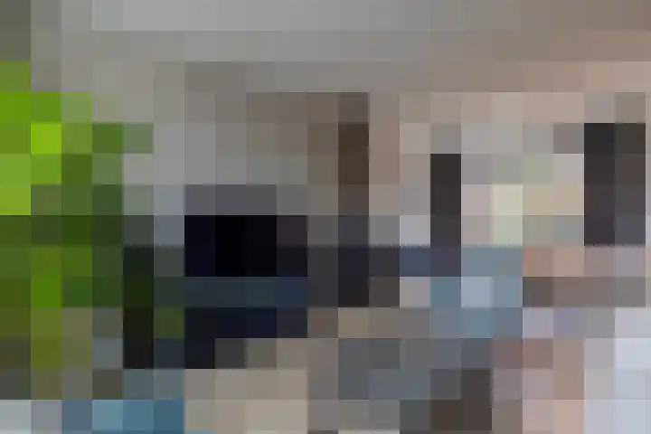 Leurinkstraat 10 Hengelo thumbnail 13