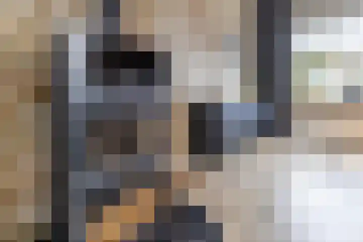 Leurinkstraat 10 Hengelo thumbnail 15