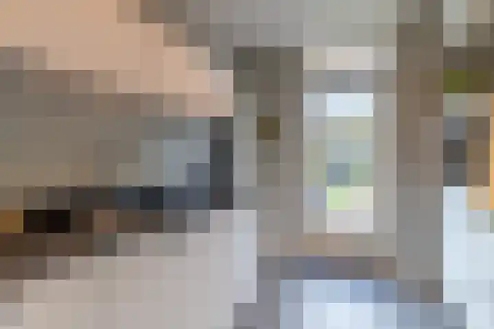 Leurinkstraat 10 Hengelo thumbnail 19