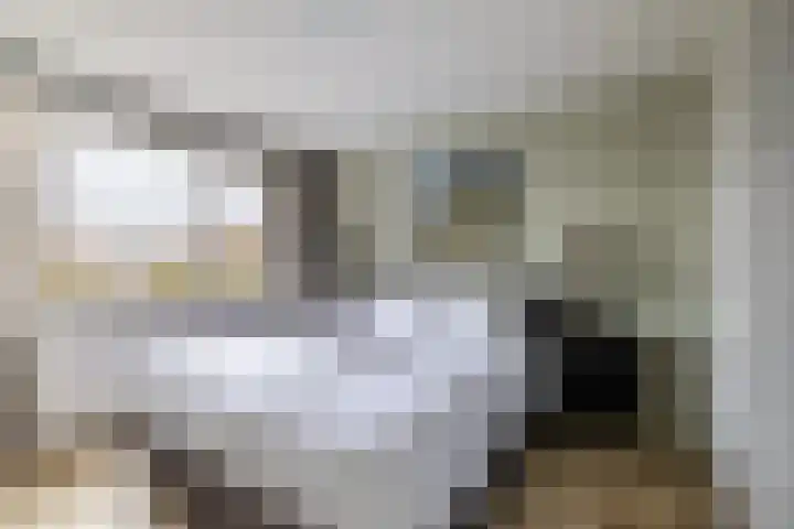 Leurinkstraat 10 Hengelo thumbnail 24