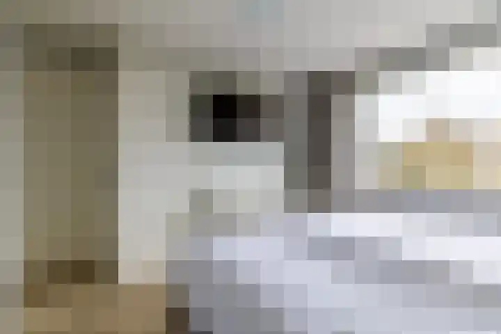Leurinkstraat 10 Hengelo thumbnail 25
