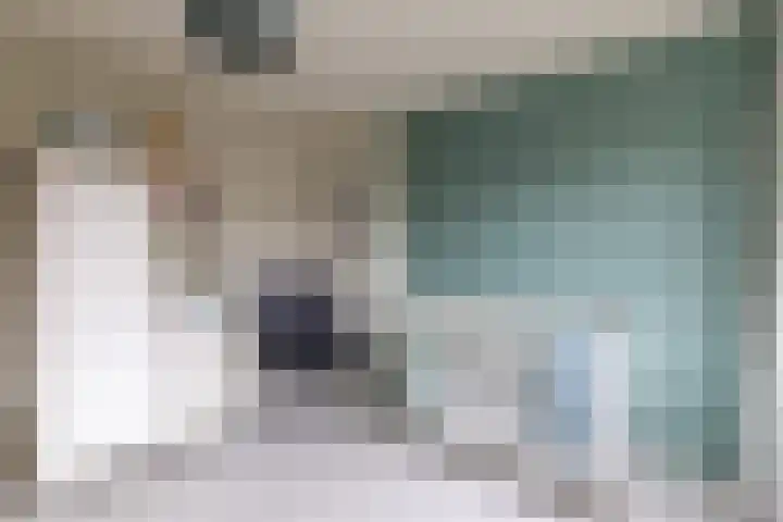Leurinkstraat 10 Hengelo thumbnail 31