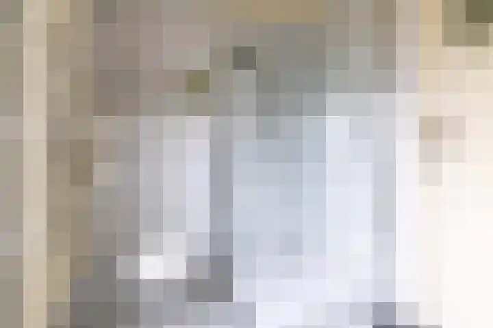 Leurinkstraat 10 Hengelo thumbnail 35
