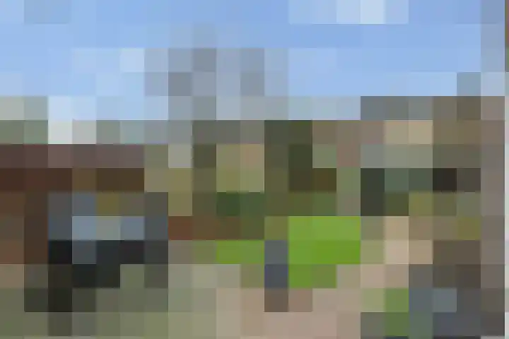 Leurinkstraat 10 Hengelo thumbnail 39