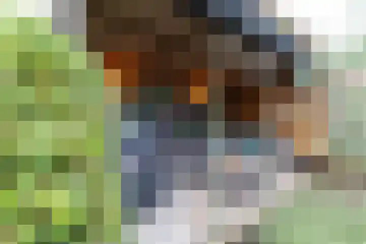 Leurinkstraat 10 Hengelo thumbnail 41