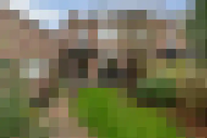 Leurinkstraat 10 Hengelo thumbnail 46