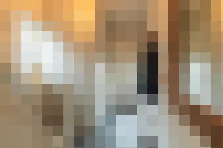 Leurinkstraat 10 Hengelo thumbnail 8