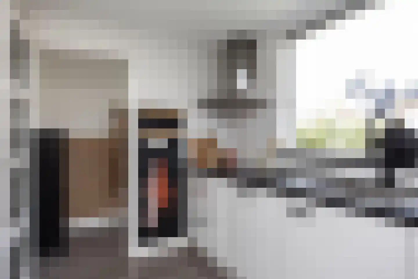 Leurinkstraat 3 Hengelo thumbnail 17
