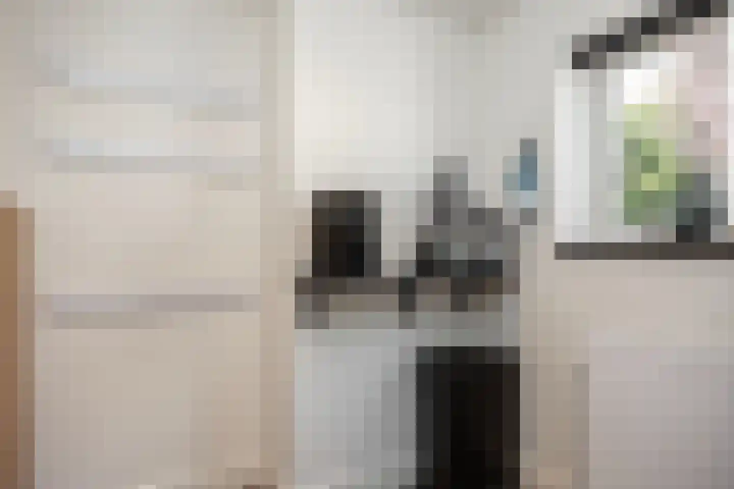 Leurinkstraat 3 Hengelo thumbnail 18