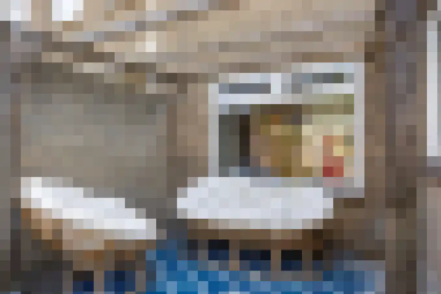Leurinkstraat 3 Hengelo thumbnail 30