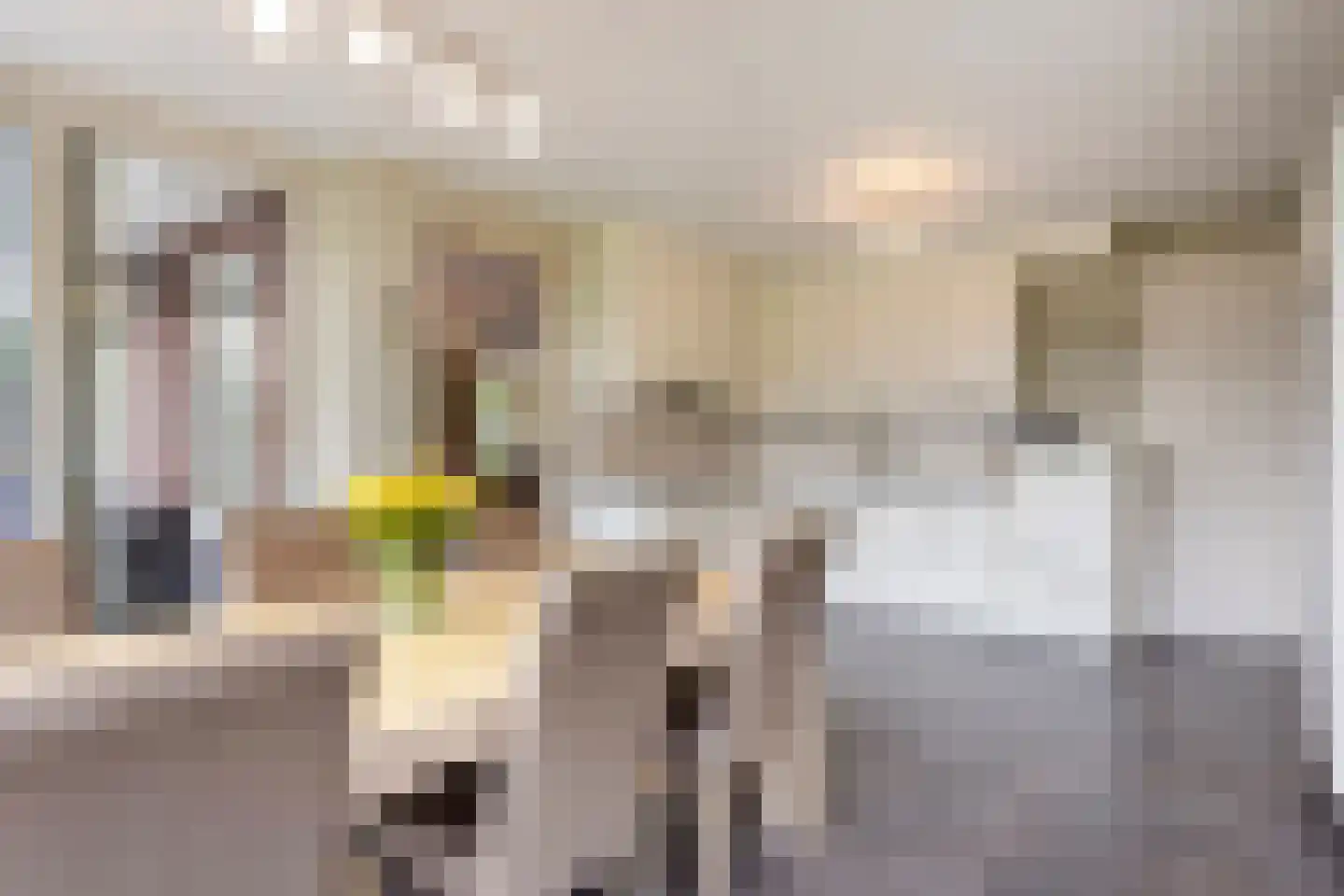 Leurke 7 Boekel thumbnail 10