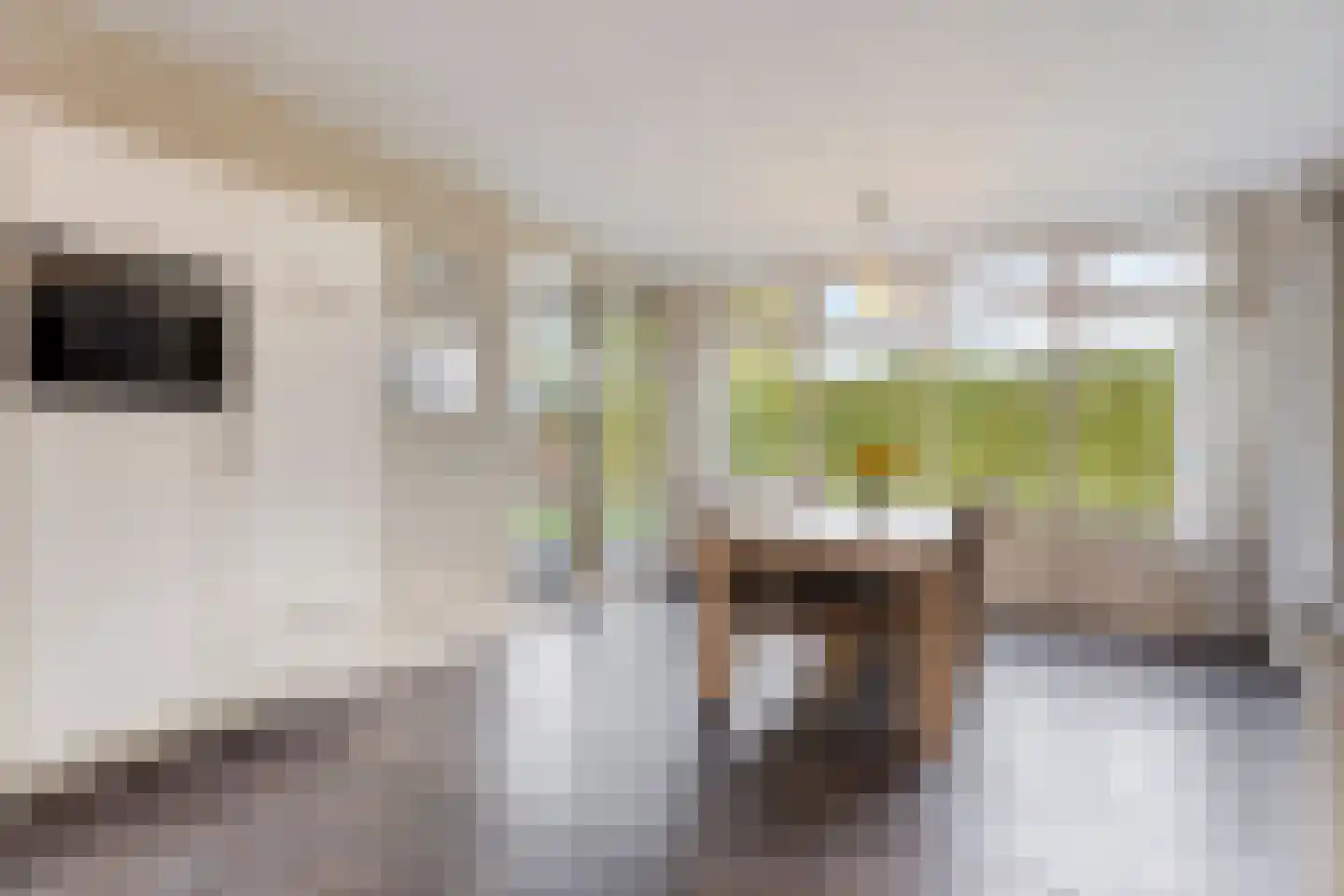 Leurke 7 Boekel thumbnail 12