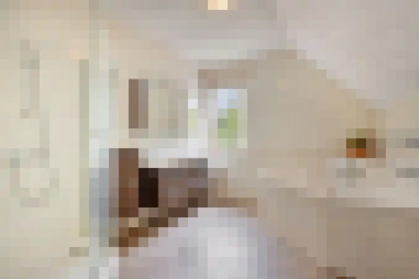 Leurke 7 Boekel thumbnail 18