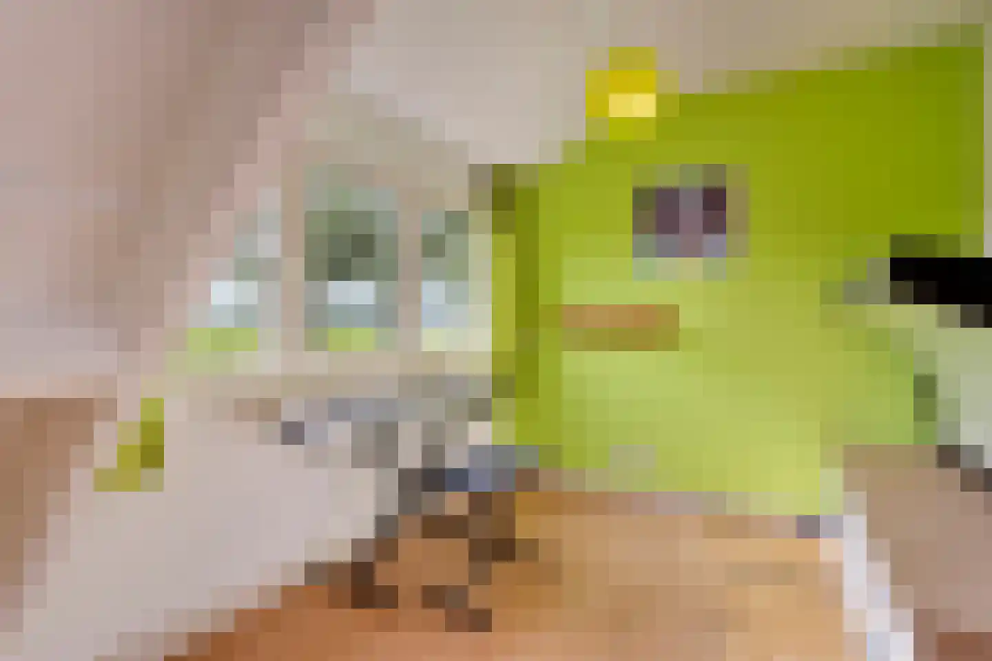 Leurke 7 Boekel thumbnail 21
