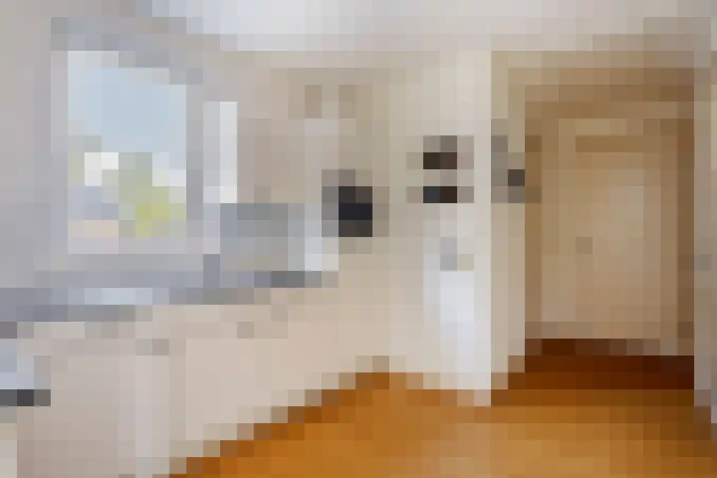 Leurke 7 Boekel thumbnail 28