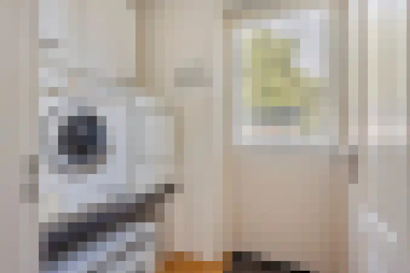 Leurke 7 Boekel thumbnail 35