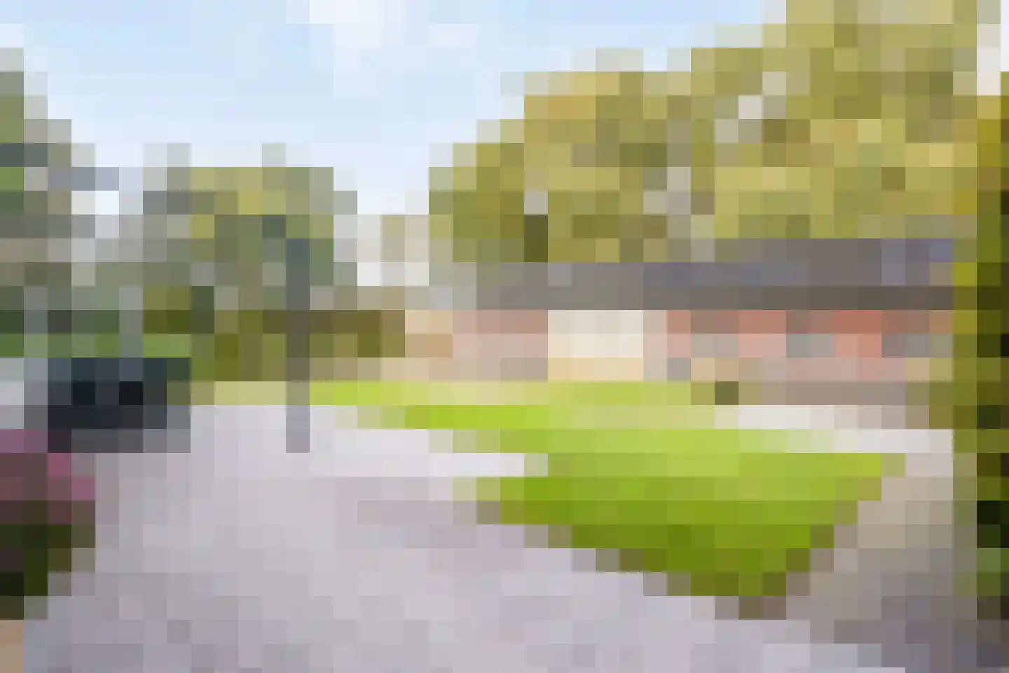Leurke 7 Boekel thumbnail 40