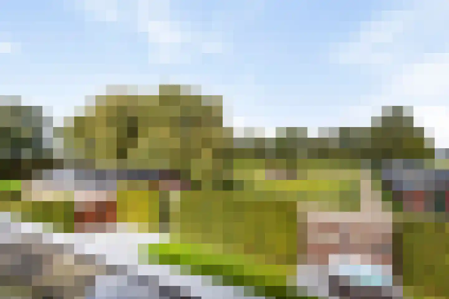 Leurke 7 Boekel thumbnail 41