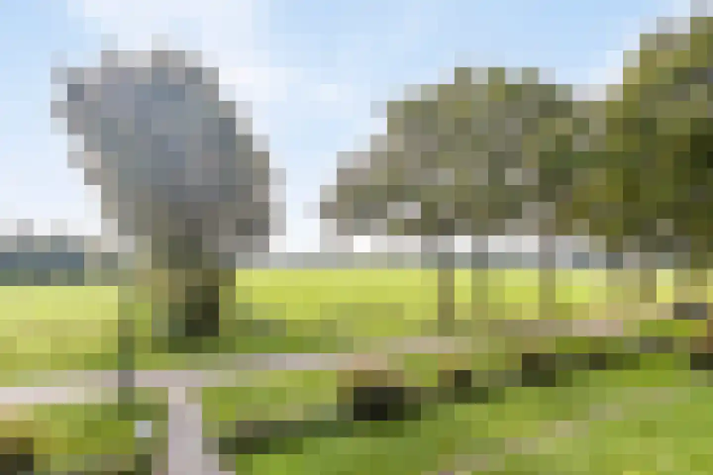 Leurke 7 Boekel thumbnail 50