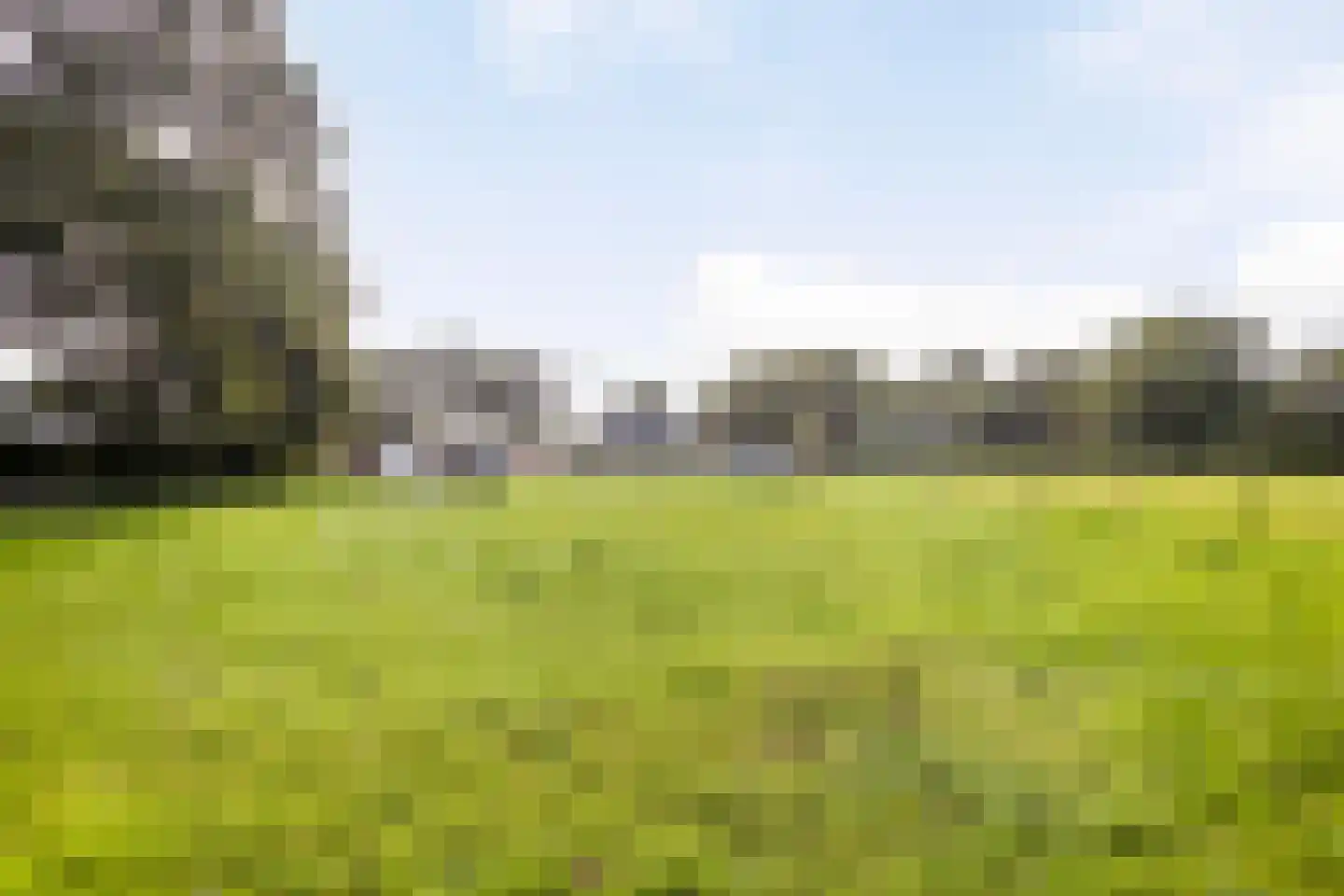 Leurke 7 Boekel thumbnail 52