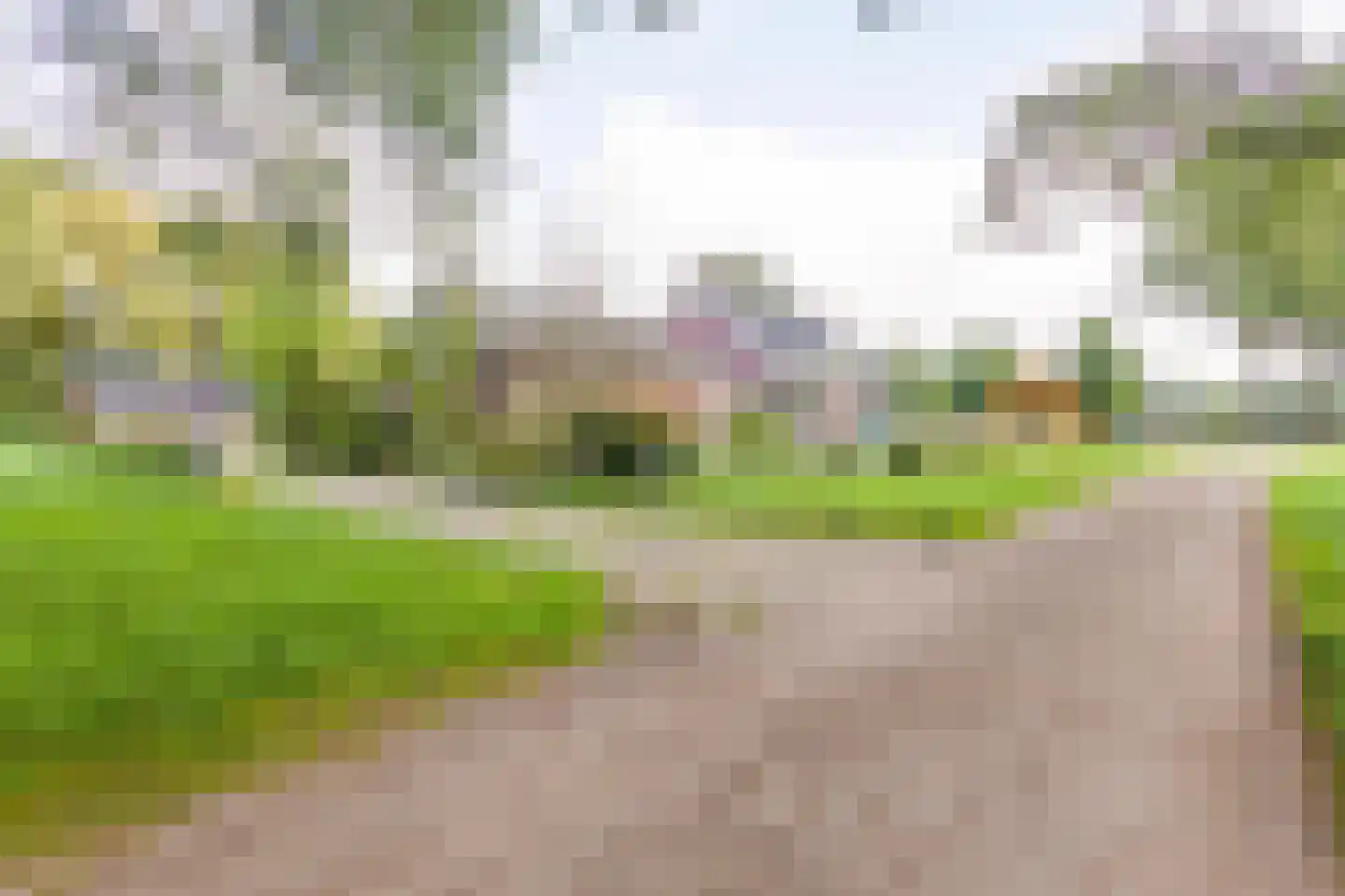 Leurke 7 Boekel thumbnail 56