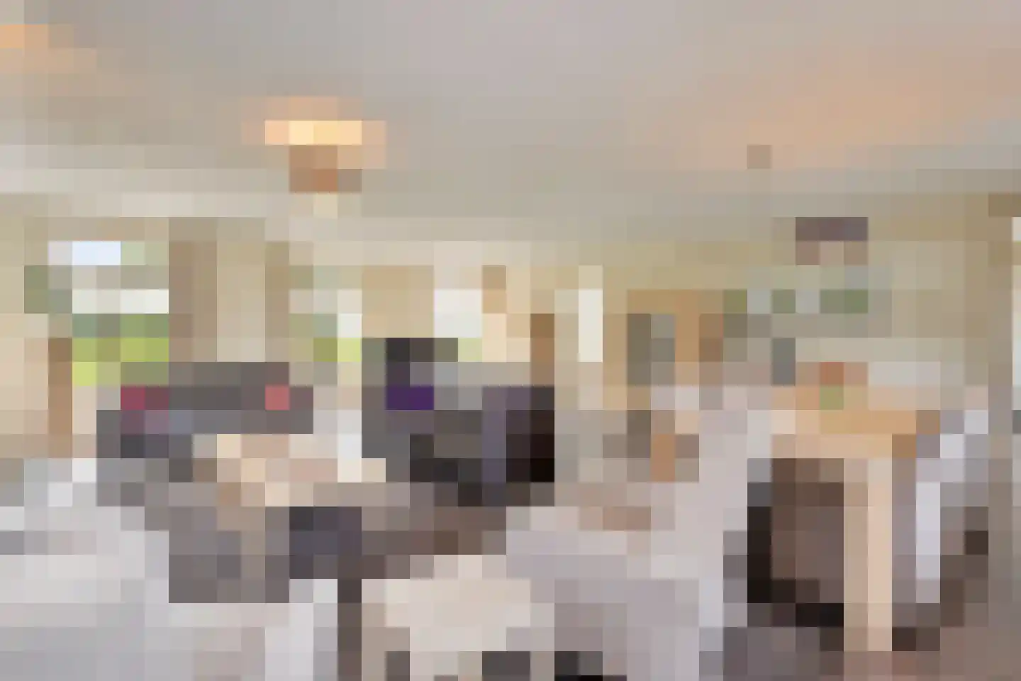 Leurke 7 Boekel thumbnail 8