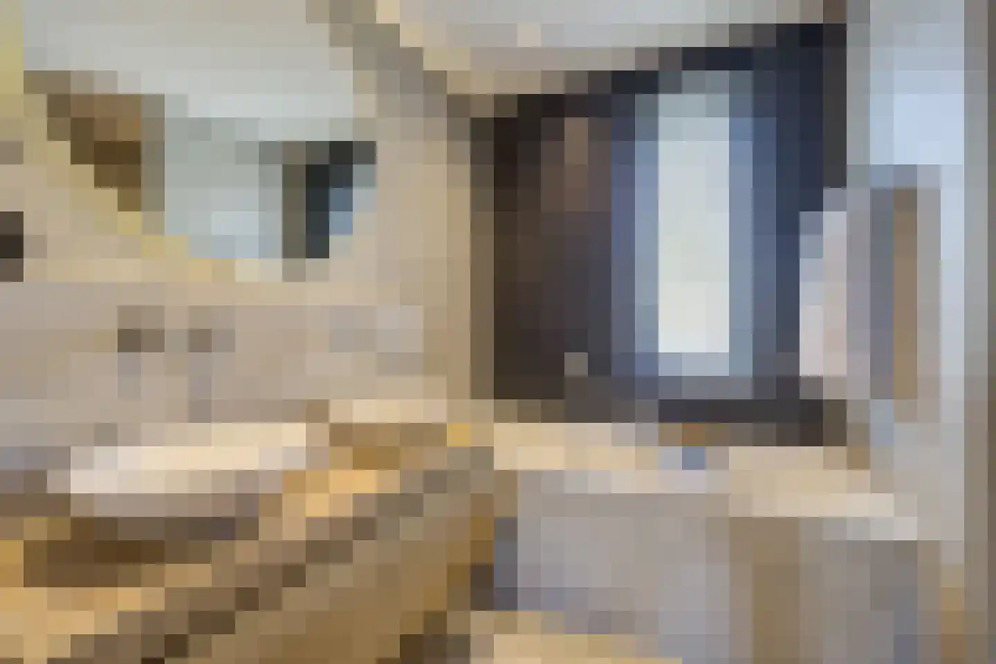Leurse Branden 23 Etten-Leur thumbnail 33