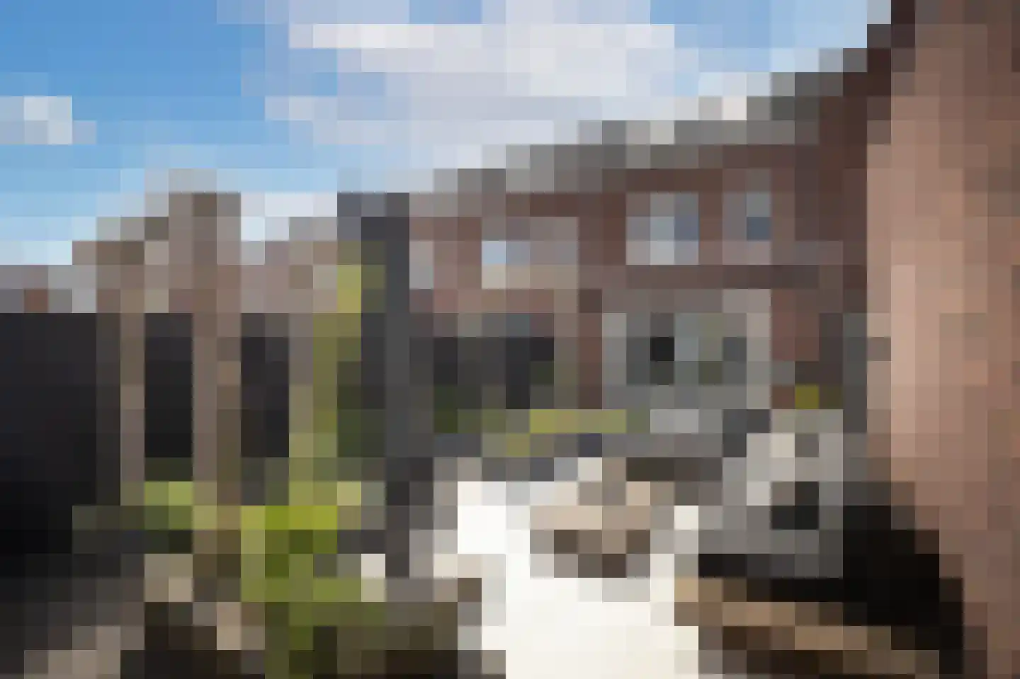 Leurse Branden 23 Etten-Leur thumbnail 4