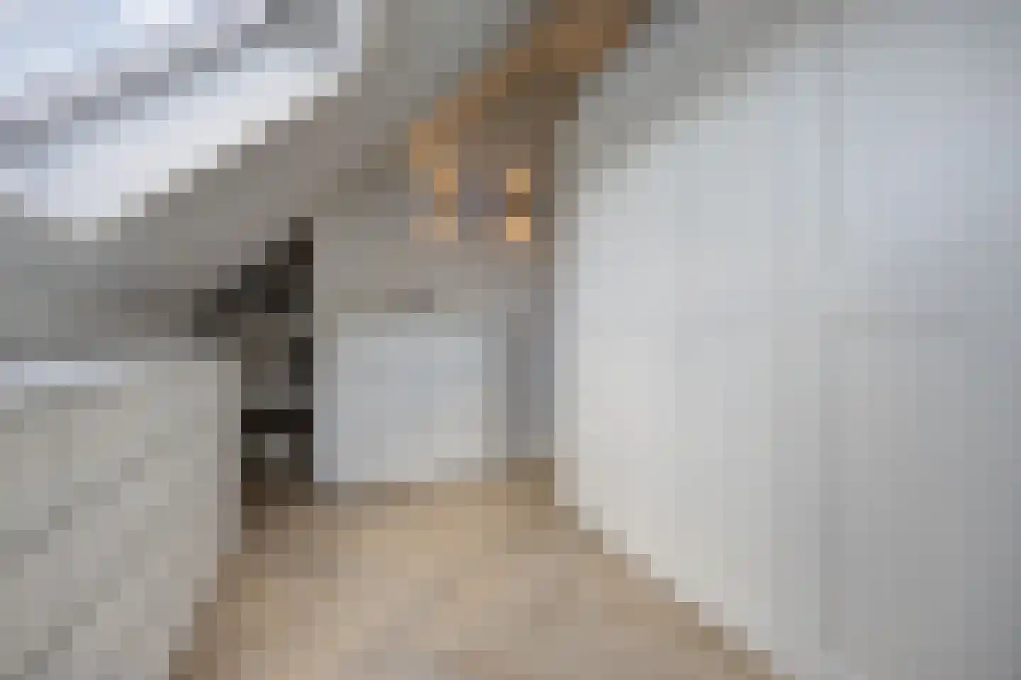 Leurse Branden 23 Etten-Leur thumbnail 41